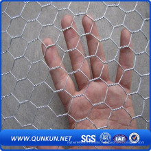 High Quality Sell Galvanized Hexagonal Wire Mesh